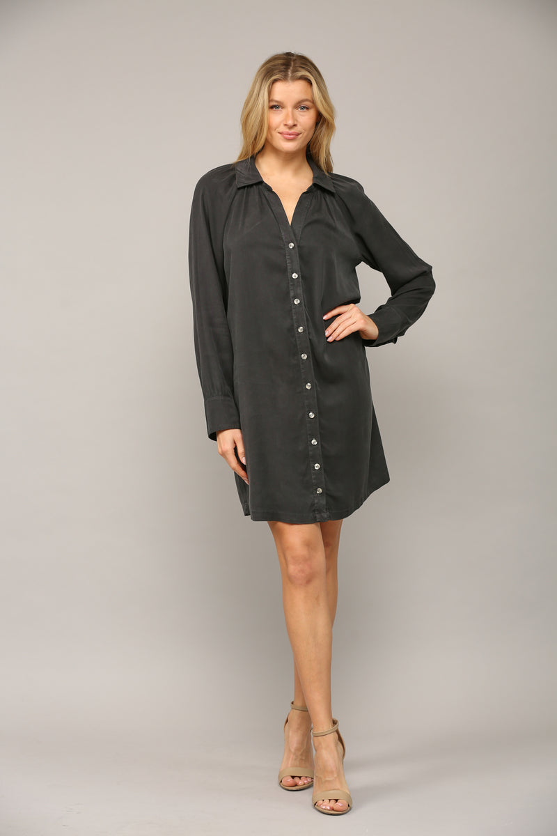 Boyfriend Shirt Dress