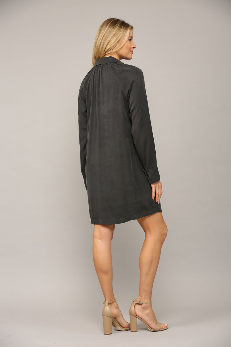 Boyfriend Shirt Dress