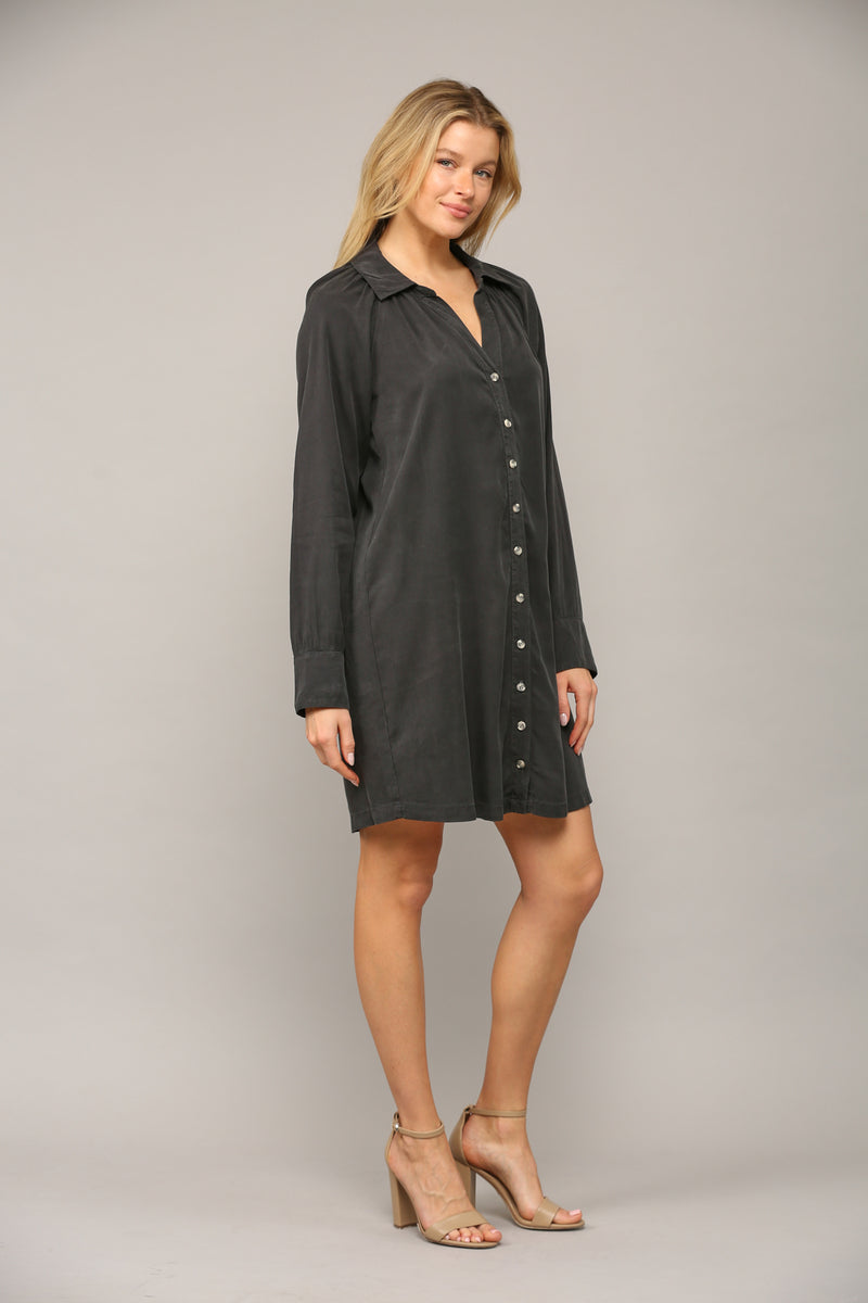 Boyfriend Shirt Dress