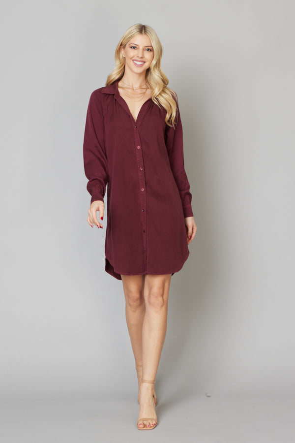 Boyfriend Shirt Dress