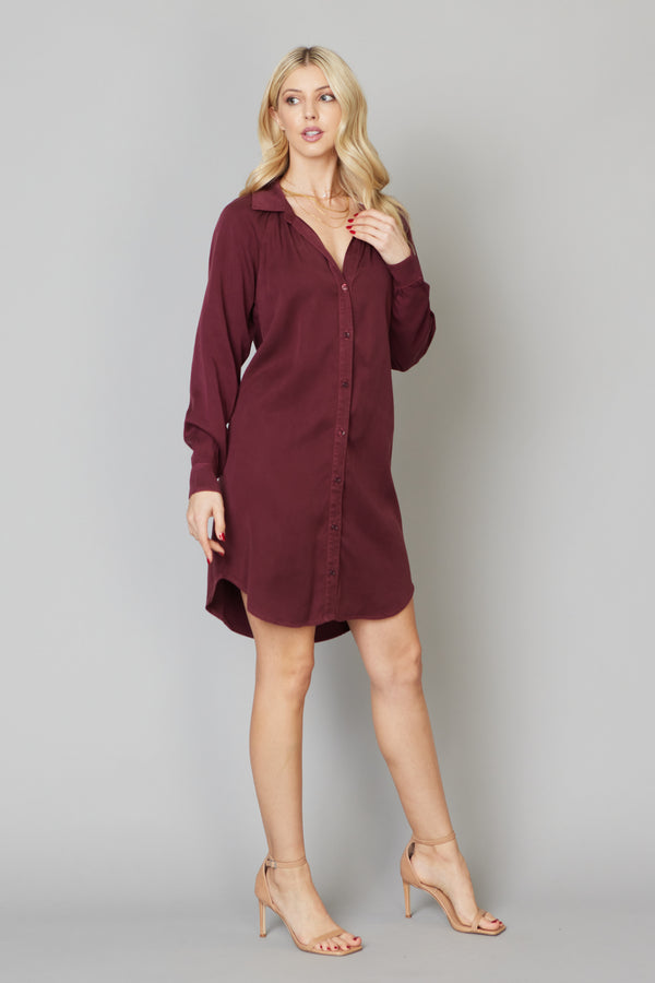 Boyfriend Shirt Dress